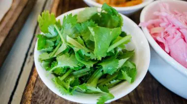 garnishing-instructions-image